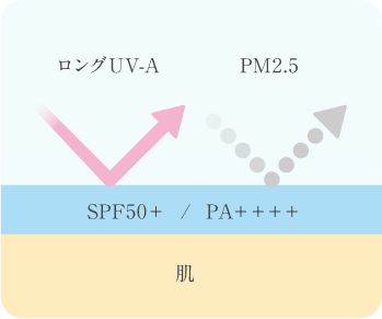 SPF50＋、PA＋＋＋＋