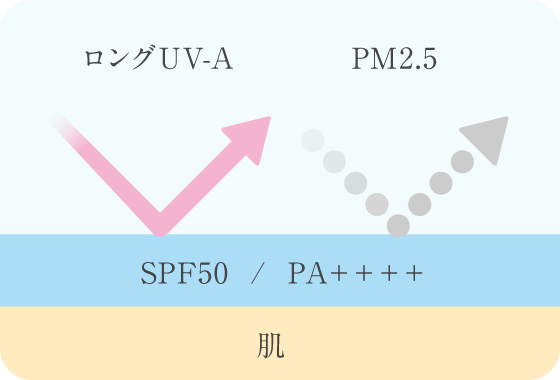 SPF50、PA＋＋＋＋で、一年中お肌をケア。