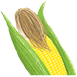 とうもろこしのひげ